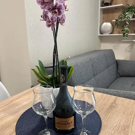 Blue Nest Apartment